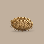Scalp Stimulator